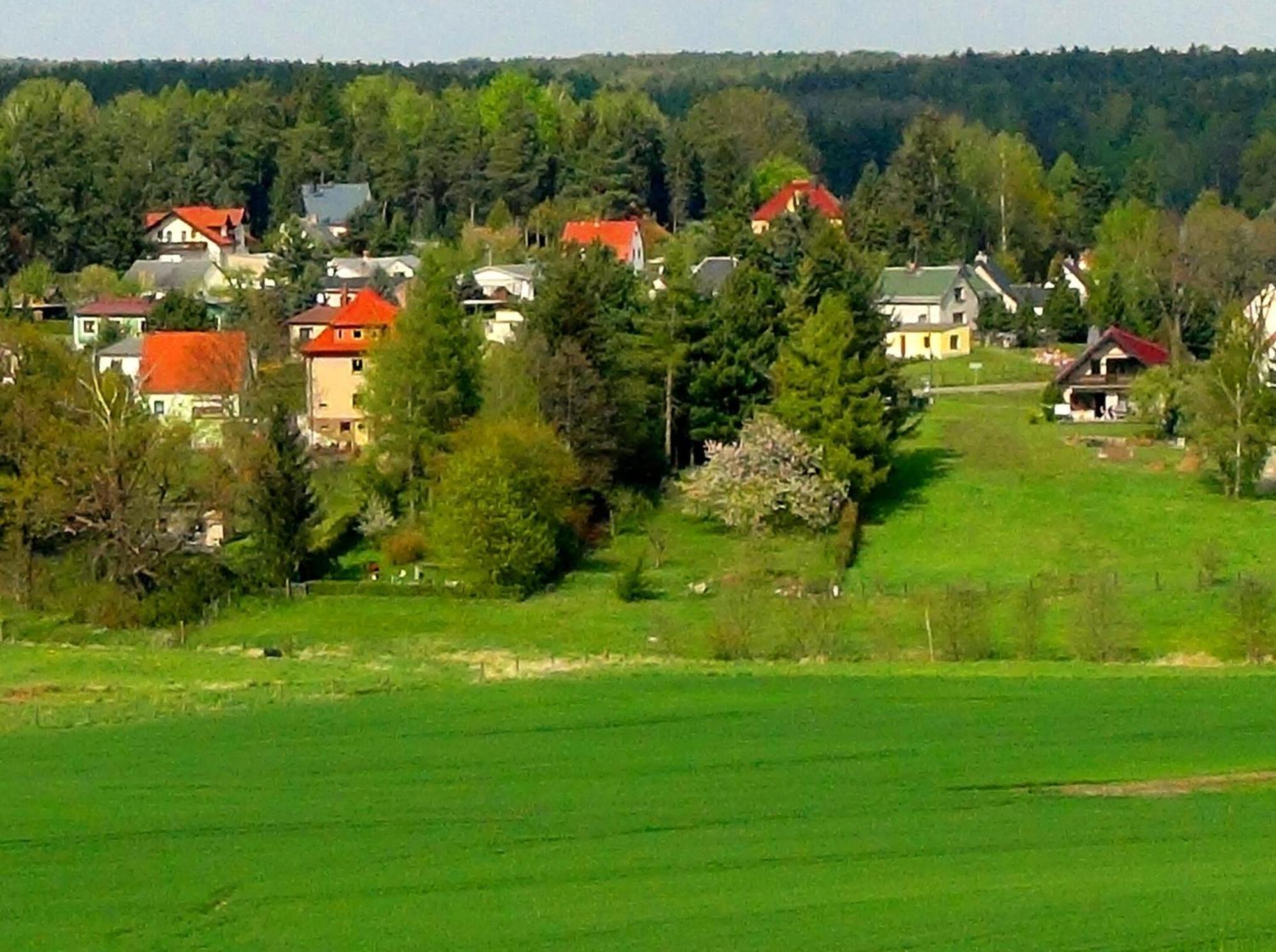 Ferienwohnung Deutschmann Dahlen Exterior foto